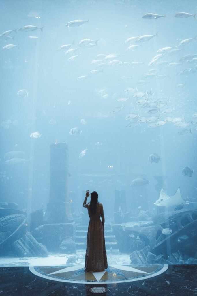 The Lost Chambers Aquarium