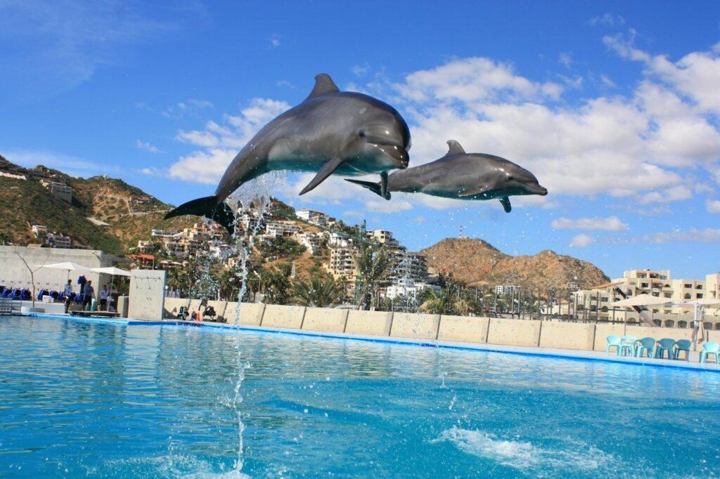SeaWorld Abu Dhabi