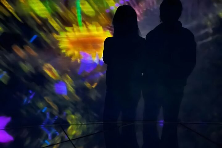 teamLab Phenomena Abu Dhabi