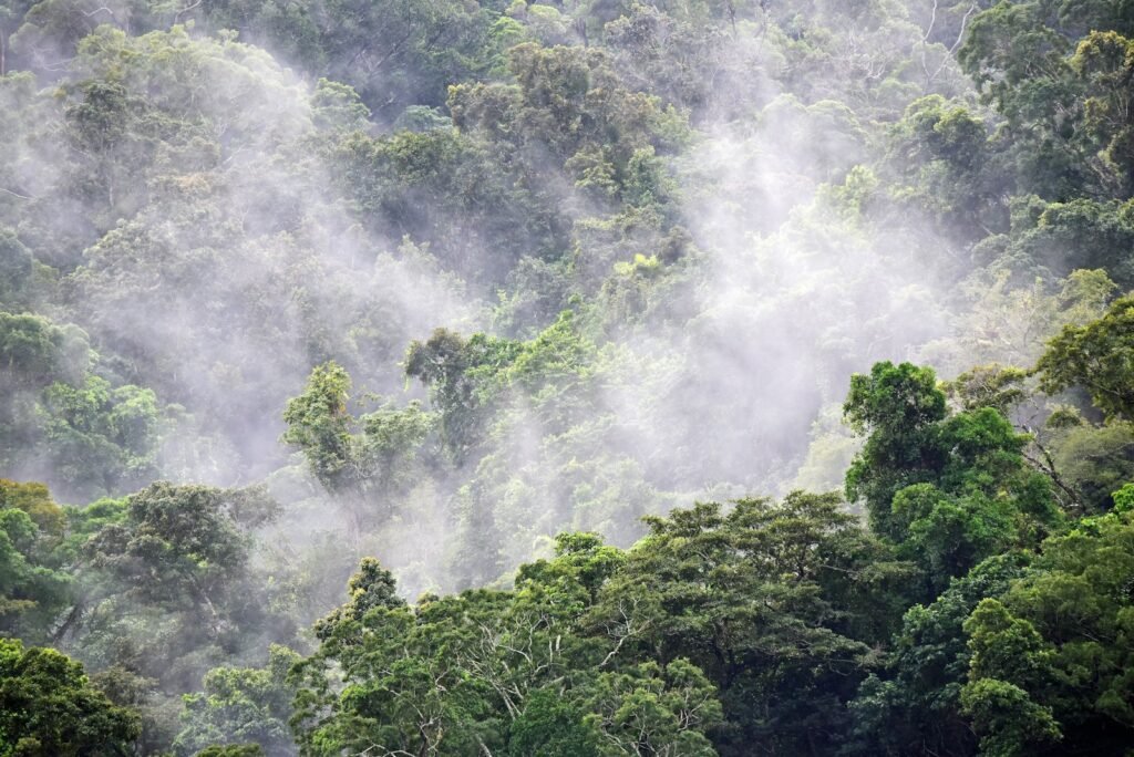 The Green Planet