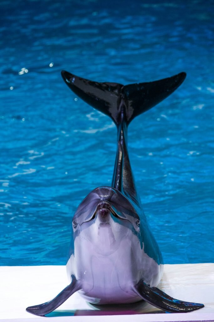 SeaWorld Abu Dhabi